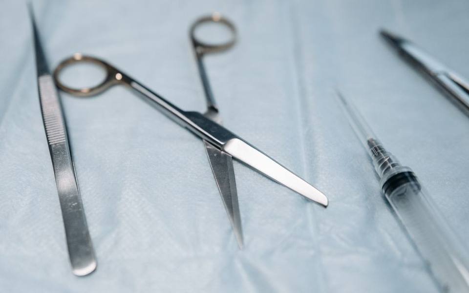 Budgeting for Facial and Nasal Placements