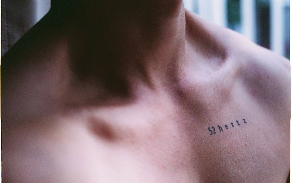 The Collarbone and Clavicle: Elegant Lines Against Thin Bone